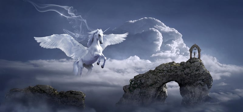 Fantasy Home