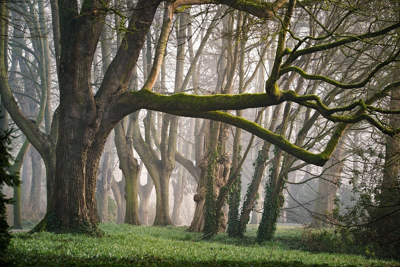 Faerie Pruners