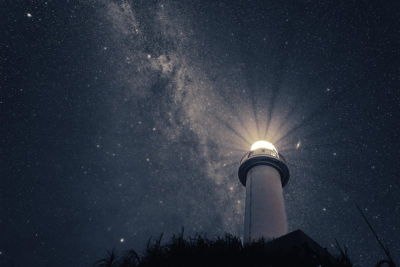 Night Sky Garden